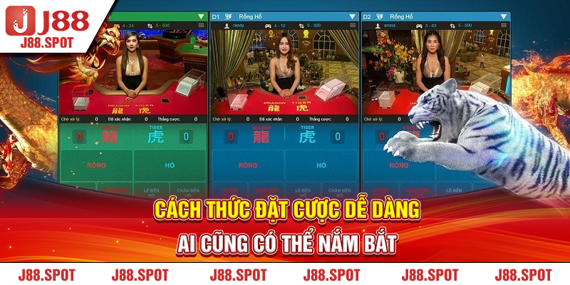 Cách thức đặt cược dễ dàng ai cũng có thể nắm bắt