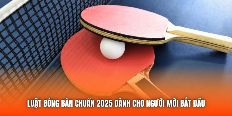 Luật Bóng Bàn Chuẩn 2025 Dành Cho Người Mới Bắt Đầu