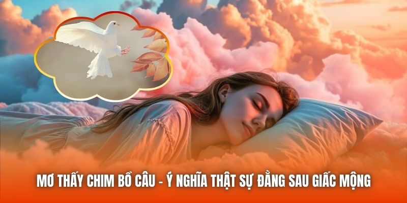 Mơ Thấy Chim Bồ Câu - Ý Nghĩa Thật Sự Đằng Sau Giấc Mộng
