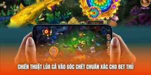 Chiến Thuật Lùa Cá Vào Góc Chết Chuẩn Xác Cho Bet Thủ
