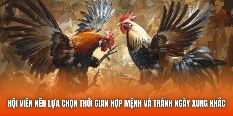 Hội viên nên lựa chọn thời gian hợp mệnh và tránh ngày xung khắc
