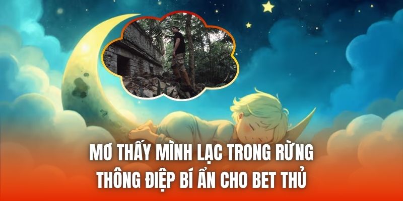 Mơ Thấy Mình Lạc Trong Rừng - Thông Điệp Bí Ẩn Cho Bet Thủ